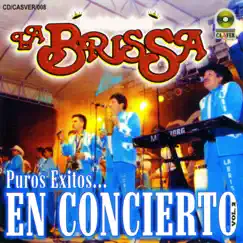 Puros Éxitos en Concierto, Vol. 2 by La Brissa album reviews, ratings, credits