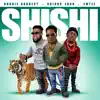 Shishi (feat. Emtee & Chinko Ekun) - Single album lyrics, reviews, download