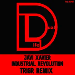 Industrial Revolution - Single (TRIGr Remix) - Single by Javi Xavier album reviews, ratings, credits