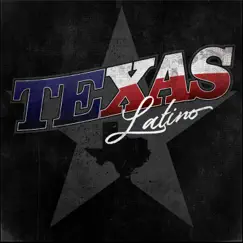 Nunca Es Suficiente - Single by Texas Latino album reviews, ratings, credits