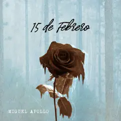 15 de Febrero - Single by Miguel Apollo, Super Solo & Mistel Kind album reviews, ratings, credits