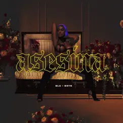 Asesina - Single by Bryn & BLU album reviews, ratings, credits