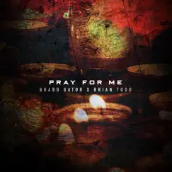Pray for Me - Single by Brian Todd & Brabo Gator album reviews, ratings, credits