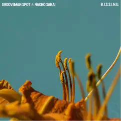 K.I.S.S.I.N.U. - Single by Grooveman Spot & Naoko Sakai album reviews, ratings, credits