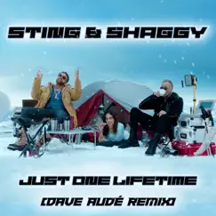 Just One Lifetime (Dave Audé Remix) Song Lyrics