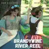 Brandywine River Reel - Single album lyrics, reviews, download