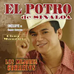 Chuy y Mauricio Song Lyrics