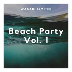 Beach Party Vol. 1 by Various Artists album reviews, ratings, credits