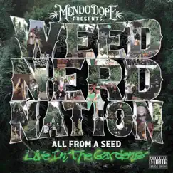 All from a Seed - Single by Mendo Dope album reviews, ratings, credits