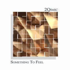 Something to Feel - Single by 2Qimic album reviews, ratings, credits