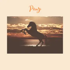 Pony (Instrumental) - Single by Drew Logan Beats album reviews, ratings, credits