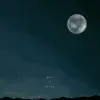 Moonlight (feat. oze) - Single album lyrics, reviews, download