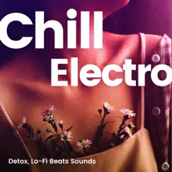 Chill Electro, Detox, Lo-Fi Beats Sounds by Various Artists album reviews, ratings, credits