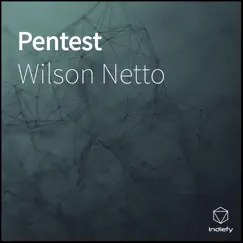 Pentest - Single by Wilson Netto album reviews, ratings, credits