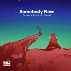 Somebody New (feat. Raena) Song Lyrics