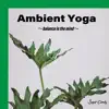 Ambient Yoga 〜Balance in the Mind〜 album lyrics, reviews, download