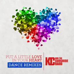 Put a Little Love in Your Heart (Stonebridge Classic Extended) Song Lyrics