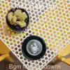 Bgm for Lockdowns album lyrics, reviews, download