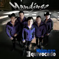 Número Equivocado - Single by Mandingo album reviews, ratings, credits
