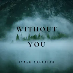 Without You - Single by Italo Talarico album reviews, ratings, credits