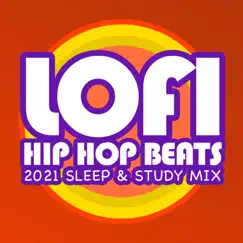 Lofi 2021 Mix (Hip Hop Beat) Song Lyrics