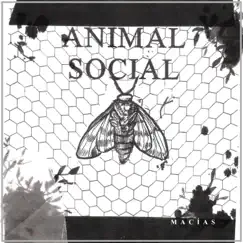 Animal Social - Single by Macias album reviews, ratings, credits