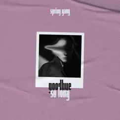 Goodbye so Long by Spring gang album reviews, ratings, credits