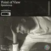 Point of View - Single album lyrics, reviews, download