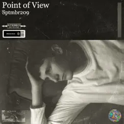 Point of View - Single by Sptmbr209 album reviews, ratings, credits