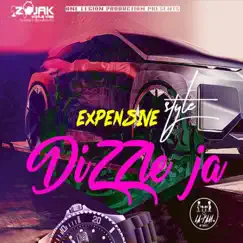 Expensive Style - Single by Dizzle JA album reviews, ratings, credits