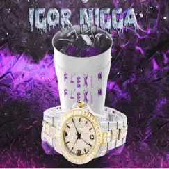 Flexin - Single by Igor Nigga album reviews, ratings, credits