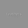 Feathers - Single album lyrics, reviews, download