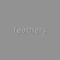 Feathers - Single by Sleeper album reviews, ratings, credits