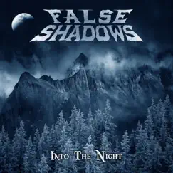 Into the Night - Single by False Shadows album reviews, ratings, credits