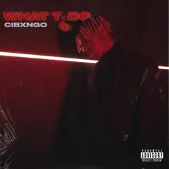 What To Do - Single by Cibxngo album reviews, ratings, credits