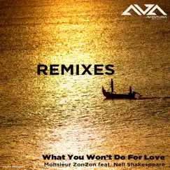 What You Won't Do for Love (feat. Nell Shakespeare) [Robbie Rivera Mix] Song Lyrics