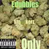 Smokerz Only - Single album lyrics, reviews, download