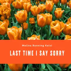 Last Time I Say Sorry - Single by Melina Ronning   Kelsi album reviews, ratings, credits