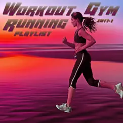 Workout Gym & Running Playlist 2017.1 by Various Artists album reviews, ratings, credits