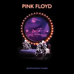 Delicate Sound of Thunder (2019 Remix) [Live] by Pink Floyd album reviews, ratings, credits