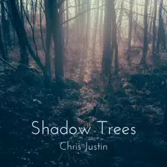 Shadow Trees Song Lyrics