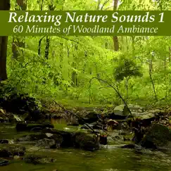 Relaxing Nature Sounds 1: 60 Minutes of Woodland Ambiance by Ephemeral Rift album reviews, ratings, credits
