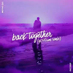Back Together - SP3CTRUM Remix (Remix) Song Lyrics