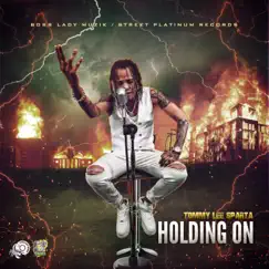 Holding On - Single by Tommy Lee Sparta album reviews, ratings, credits