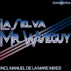 Mr. Wiseguy (Manuel De La Mare Mash) Song Lyrics