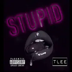 Stupid - Single by T Lee album reviews, ratings, credits