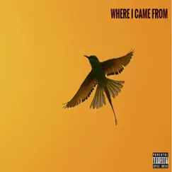 Where I Came From Song Lyrics