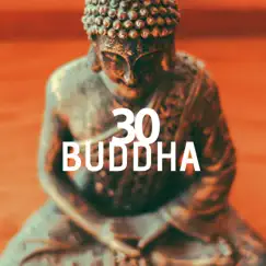 30 Buddha - Musica per Meditazione Guidata, Lezioni di Yoga, Dormire, Rilassarsi e Trovare la Pace Interiore by Meditation Music album reviews, ratings, credits