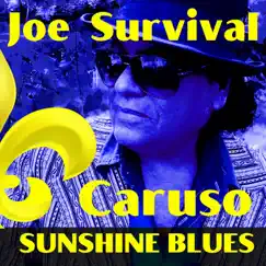 Sunshine Blues by Joe Survival Caruso album reviews, ratings, credits