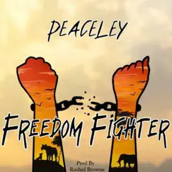 Freedom Fighter - Single by Peaceley album reviews, ratings, credits